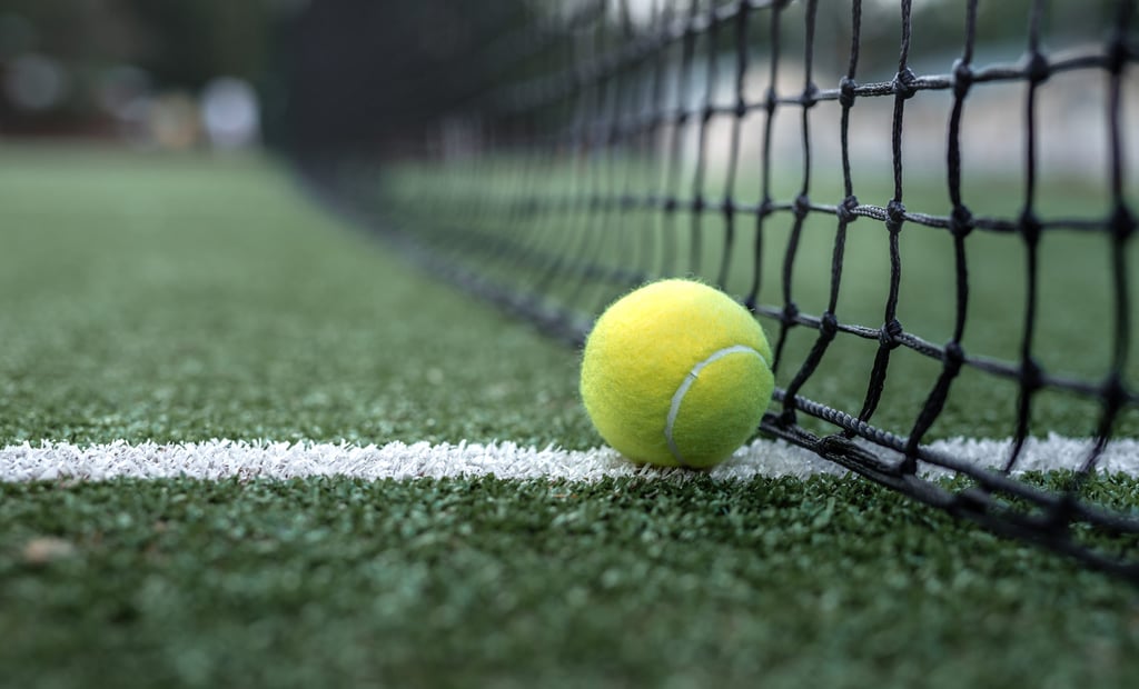 Yellow tennis ball at the net on the court