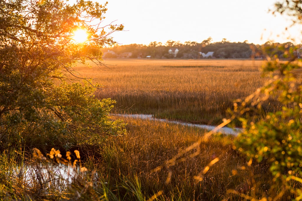 View across the salt marshes and wildlife reserve on a coastal island.