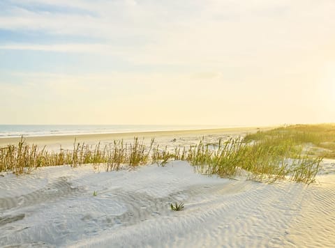 Sand dunes on the beach at Kiawah Island