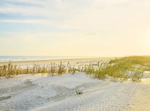 Sand dunes on the beach at Kiawah Island
