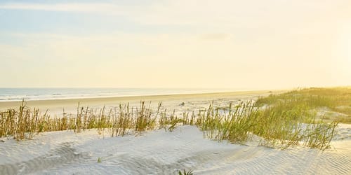 Sand dunes on the beach at Kiawah Island