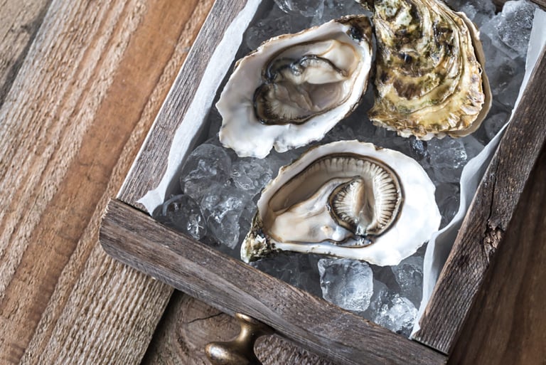 Raw oysters in the wooden box